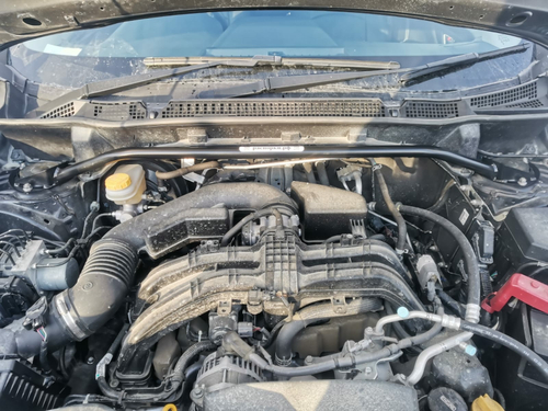 Распорка передних стоек (цельная) Subaru Forester 5 (SK) АТМО с AirBagом для пешехода (ПОД ЗАКАЗ)