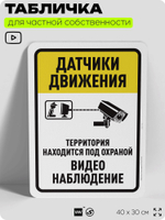 Табличка для частной территории "Датчики движения", на дом, для участка, организаций и частных территорий, предупреждающая, 40х30 см, Silver Plane x Айдентика Технолоджи