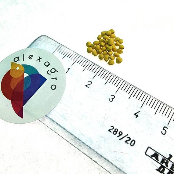 ГВОЗДИКА КИТАЙСКАЯ X БОРОДАТАЯ IDEAL SELECT MIX | Alexagro