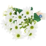 Искусственные цветы «Летнее вдохновение» Хризантемы 30см цвет белый