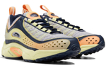 Кроссовки Reebok Daytona Dmx (Женская размерная сетка)