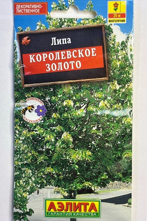 Липа пушистая Королевское золото СМЦ-662