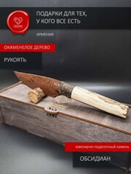 Окаменелое дерево 26 см