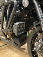 Harley-Davidson Pan America Special 1250 (DWD Green)