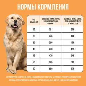 Сухой корм BOWL WOW для собак крупных пород с индейкой, курицей, рисом и тыквой  Сухой корм BOWL WOW для собак крупных пород с индейкой, курицей, рисом и тыквой