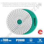 ЗУБР АГШК 100 мм, №2000, мокрое шлифование, Алмазный гибкий шлифовальный круг (29866-2000)