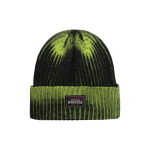 Шапки Stussy, 1321186LIME