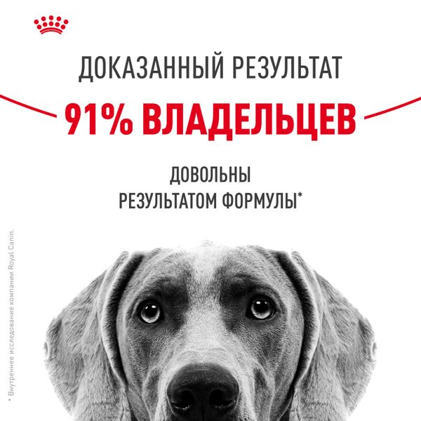 Сухой корм Royal Canin Maxi Dermacomfort для взрослых собак крупных размеров при раздражениях и зуде кожи