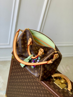 Louis Vuitton Speedy Soft 30