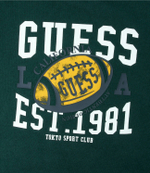 Футболка Guess - темно-зеленый(N4RI09 K8HM4)