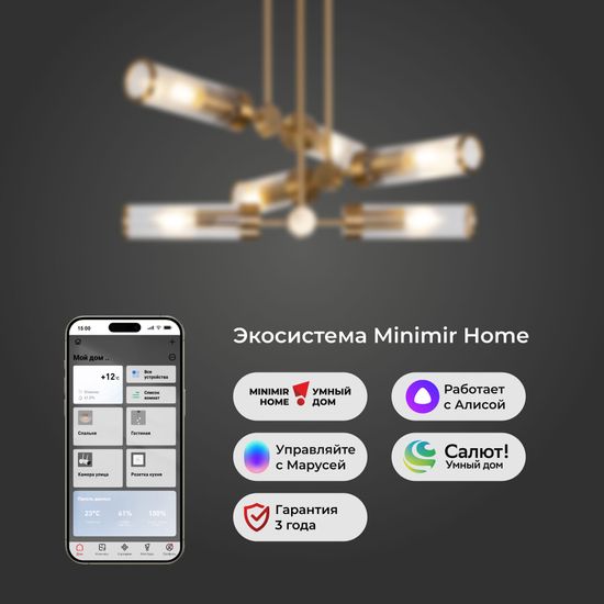 60166/6 /потолочный светильник/  латунь Smart