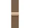 Часы Apple Watch Series 10, 42 мм, титан золотого цвета, миланский сетчатый браслет