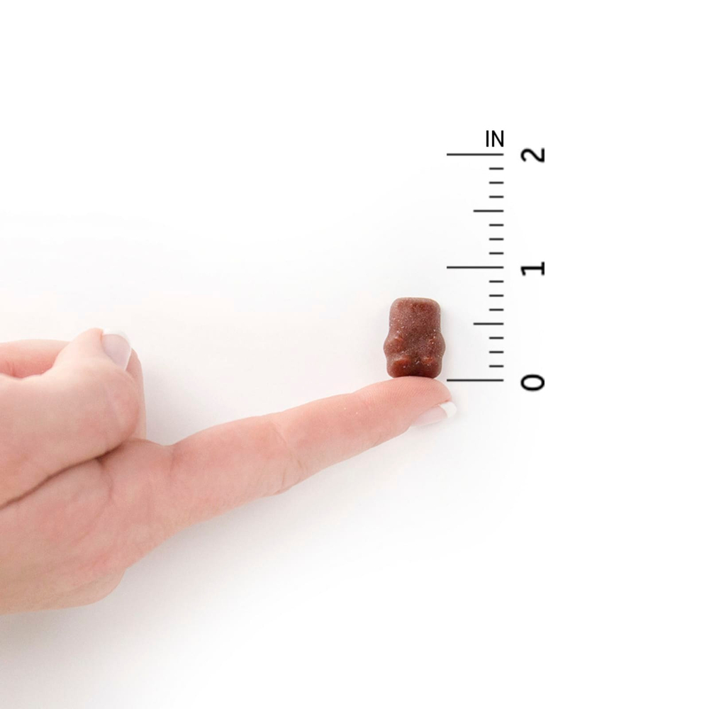 Garden of Life, Organics, мультивитаминные жевательные таблетки для детей, органические фрукты и витамины, вкус фруктов, 120 веганских жевательных мишек