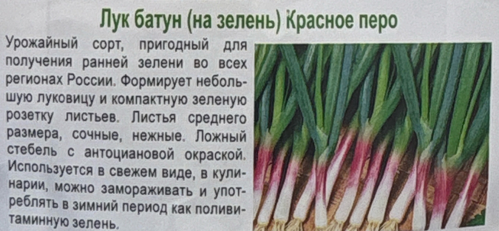 Лук  на зелень Белое перо+Красное перо сер. Дуэт 0,5 г СМЗ-27