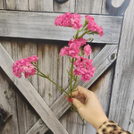 Статица искусственная