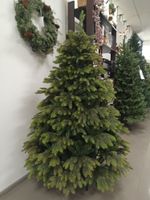 Ель искусственная «Богемская» (Литая+пвх) 180 см / 1.8 м