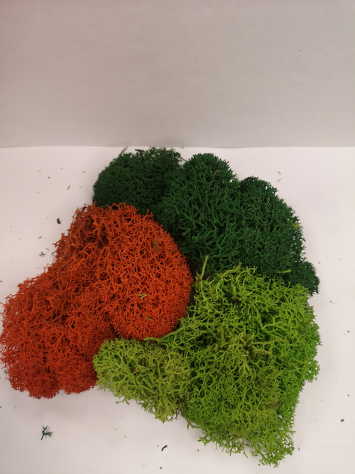 Мох для изготовления кустов и деревьев (зел.тр., вассаб.,оранж.)