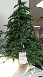 Искусственная настольная елка "Ренессанс" (Литая хвоя) 45 см/ 60 см / 90 см