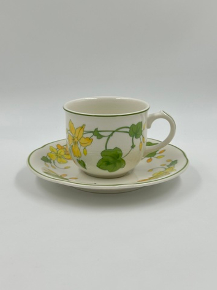 Чайная пара Villeroy & Boch, Geranium