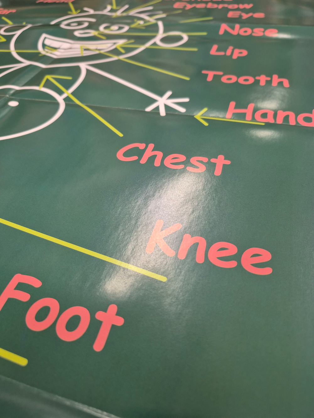 Плакаты A1 - комплект: Russian Federation, Body, The British Isles