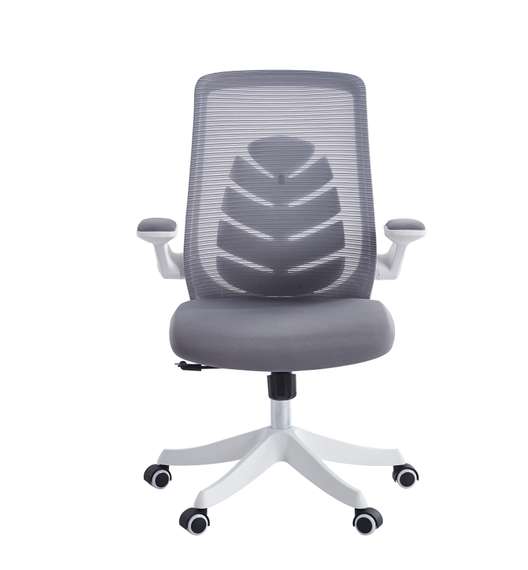 Офисное кресло Chairman CH565 белый пластик, серый
