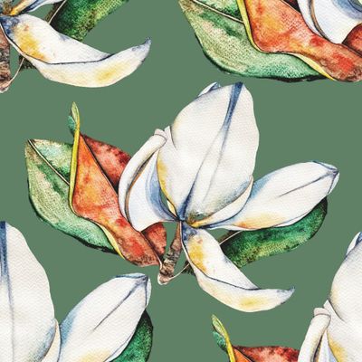 Магнолия на зеленом фоне