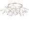 Подвесная люстра Crystal Lux Evita SP45 D Gold/Transparent