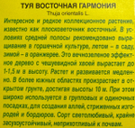 Туя восточная Гармония СМЦ-797