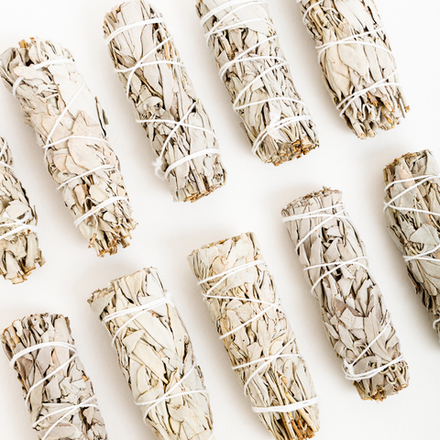 Белый шалфей средний, 10 шт