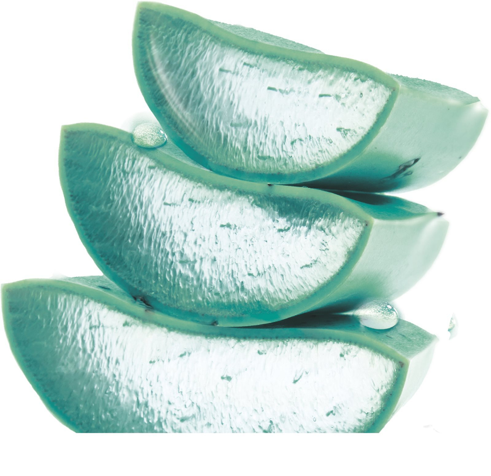 Garnier Hyaluronic Aloe Jelly - увлажняющий и разглаживающий гель-крем на ночь /   50  ml  / GTIN 3600542456630
