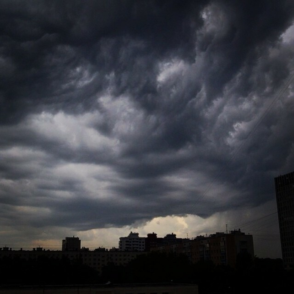 Грифон