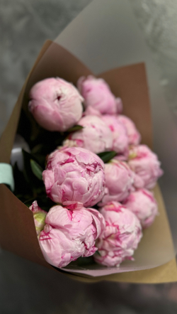 Пионы 15 шт