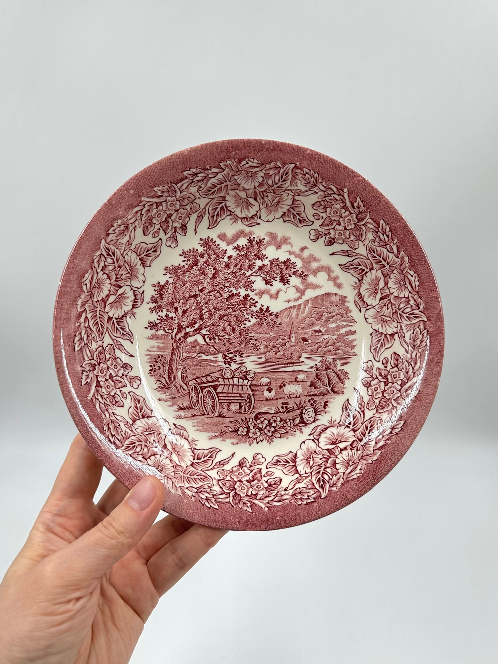 Тарелка глубокая English Ironstone