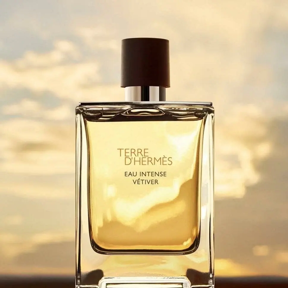 Hermes туалетная вода Terre d'Hermes, 100 мл, 100 г