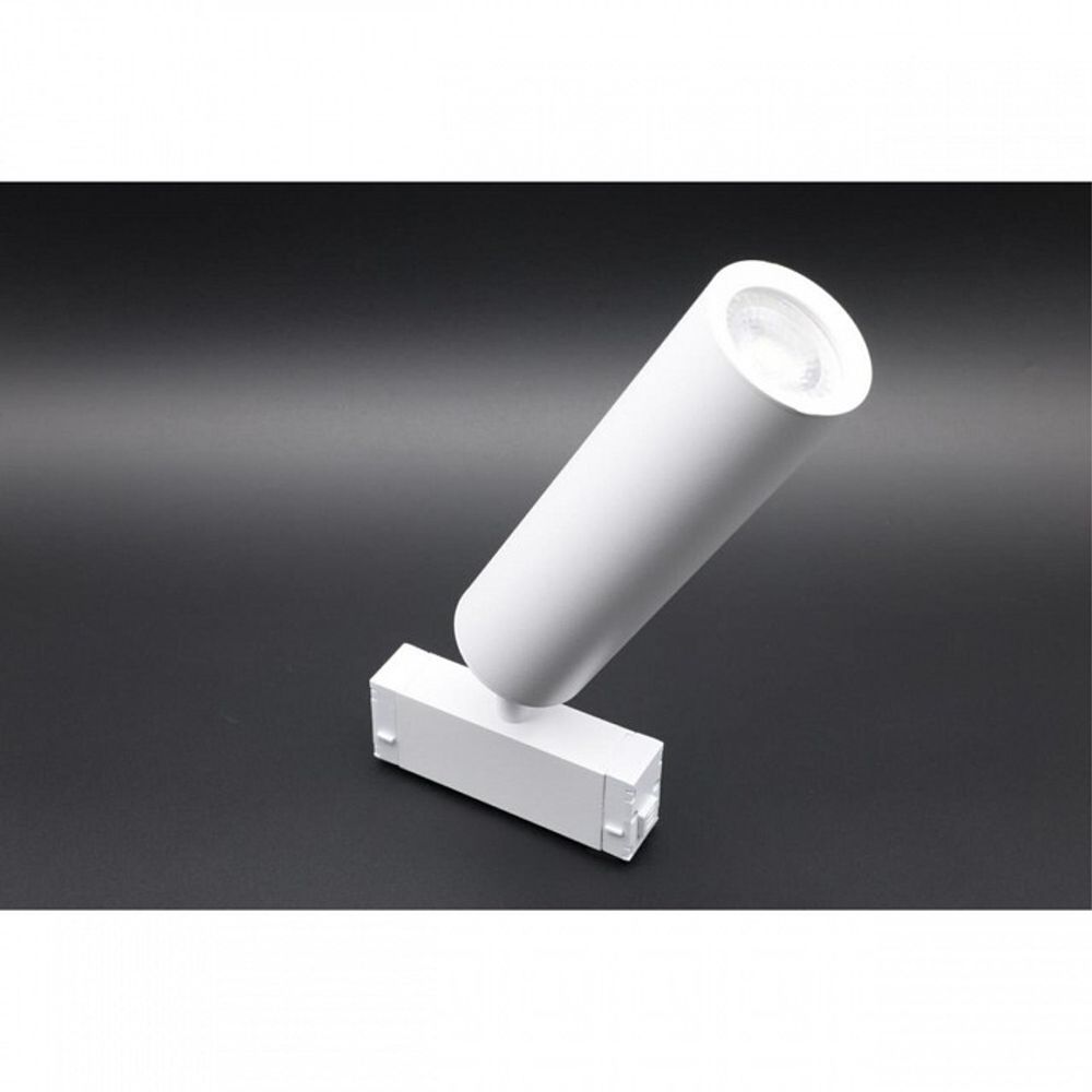 Светильник на штанге Aployt Magnetic track 220 APL.0210.11.01