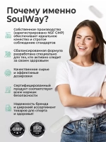 Ежовик Гребенчатый Мицелий 60 капсул