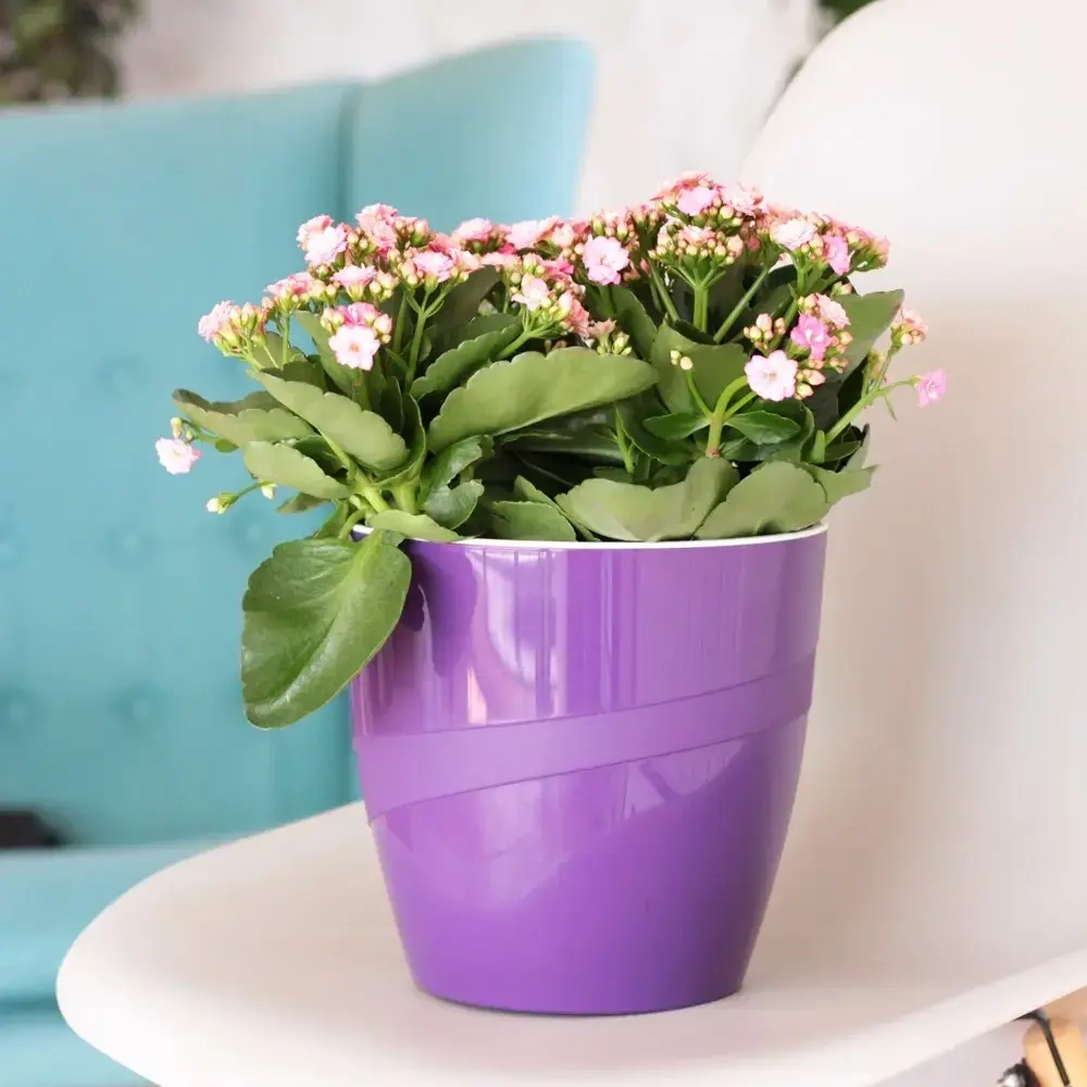 Кашпо для цветов пластиковое 2л d-15см «Грация» со вставкой фисташковый