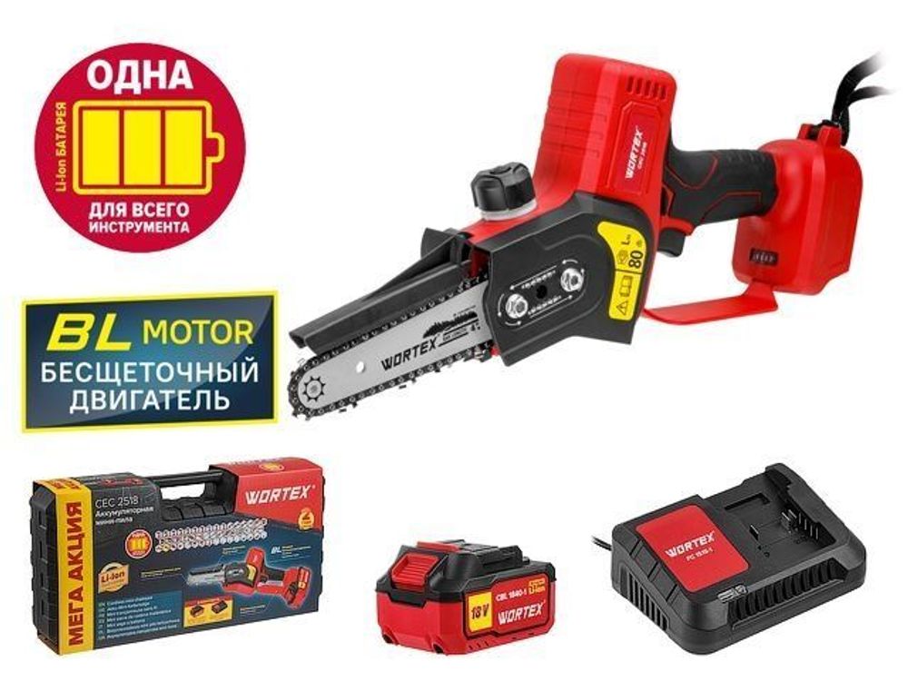 Аккуммуляторная мини-пила WORTEX CEC 2518 ALL1 в чемодане