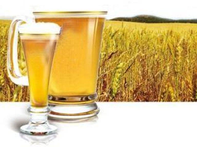 Секреты «живого» пива