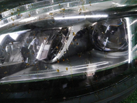 DSCN6147.JPG