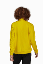 Кофта adidas Entrada 22 Track