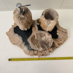 Набор из окаменелого дерева 4 предм Fossil Set NF-63281 поднос 149