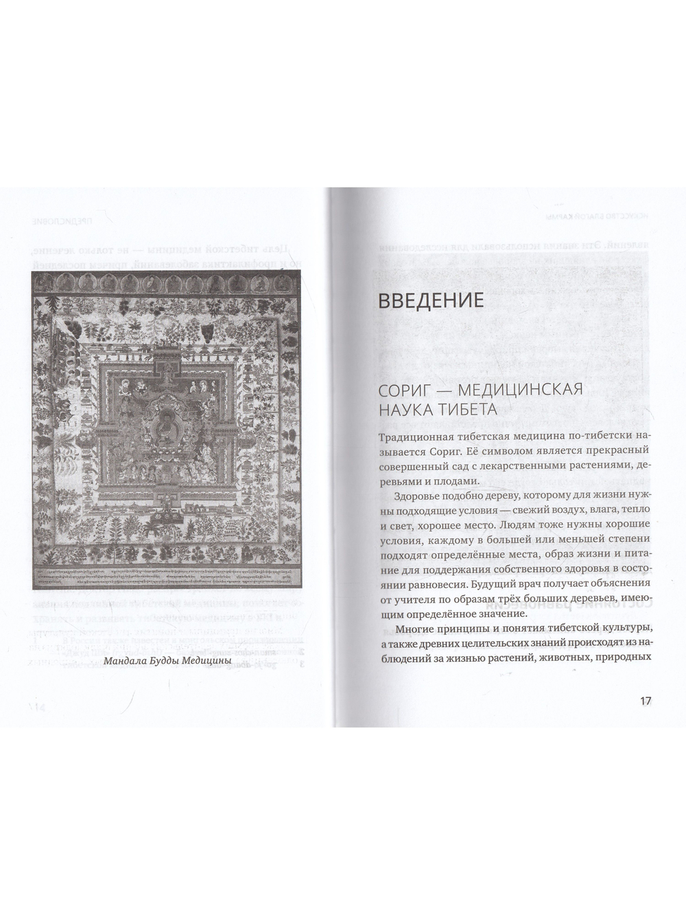 Искусство благой кармы. Расширенное издание с илл.