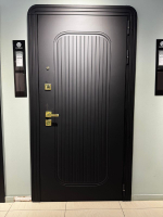 Дверь входная Монако