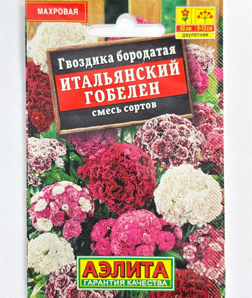 Гвоздика Итальянский гобелен, смесь сортов СМЦ-557