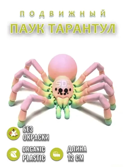 Паук тарантул