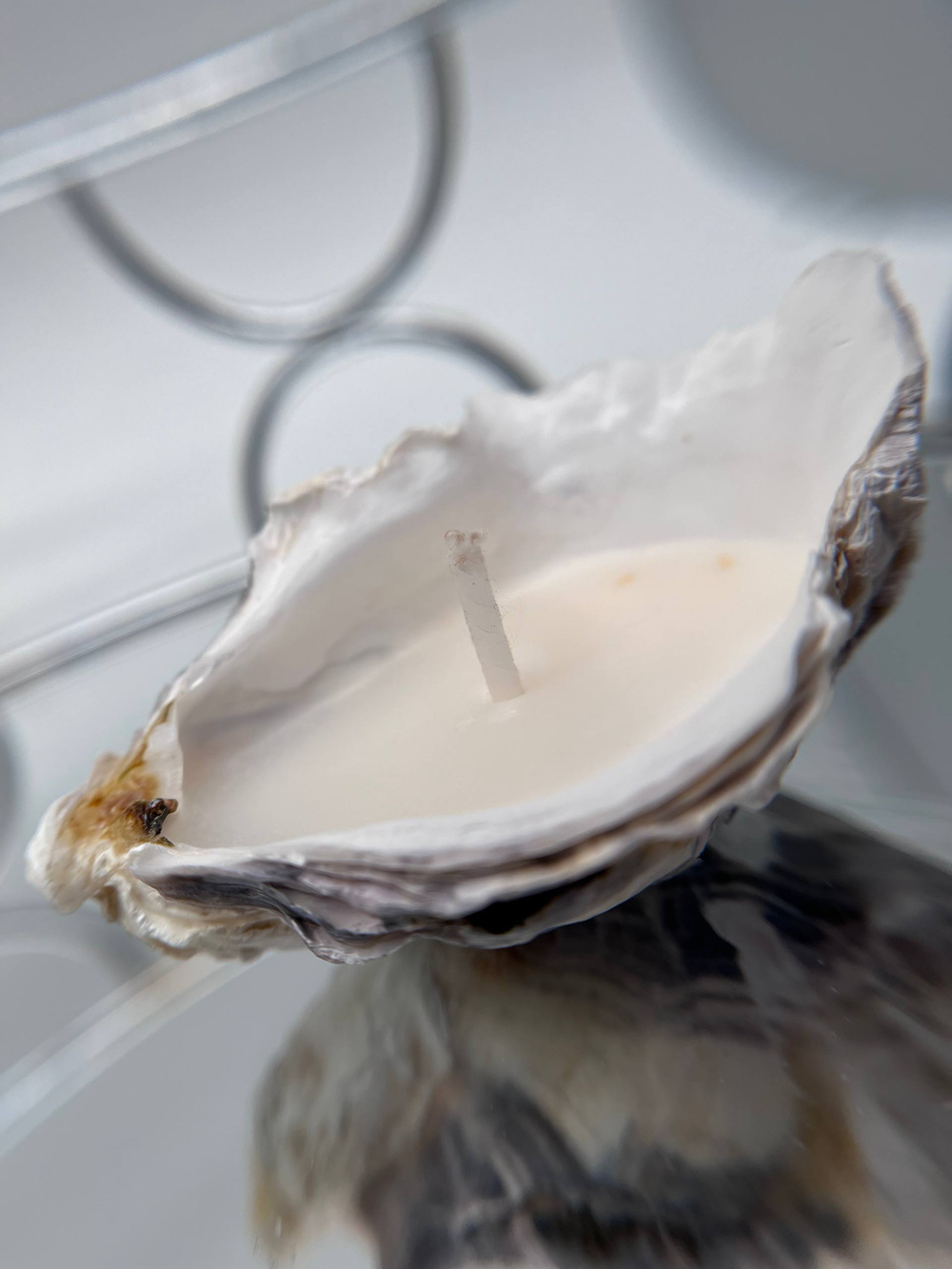 Массажная свеча в натуральной раковине