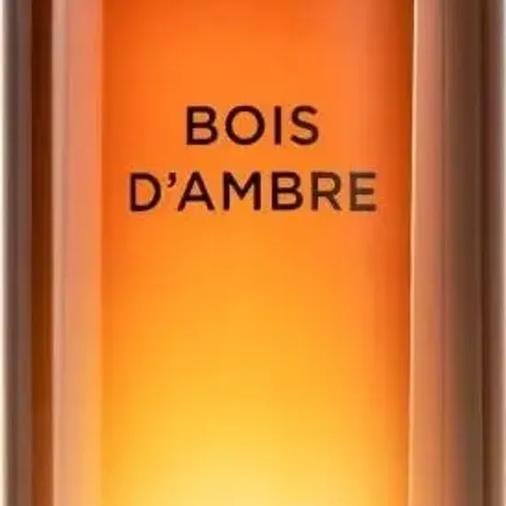 Мужская парфюмерия KARL LAGERFELD Bois d&#39;Ambre EDT 100 мл