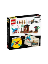 Конструктор NINJAGO 71759 Драконий храм ниндзя