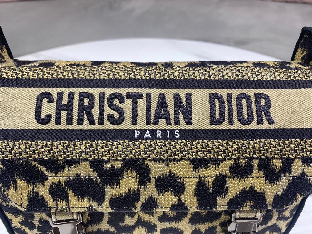 Christian Dior Diorcamp Bag 23 cm